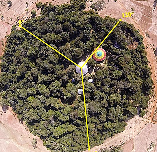 เครื่องเทศสีเขียวตัวสุดท้ายในเอธิโอเปีย: ป่าไม้ที่รอดพ้นจากขอบคุณคริสตจักร