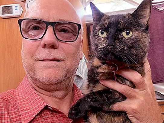 The couple went on vacation without a cat. But it turned out that the pet had other plans