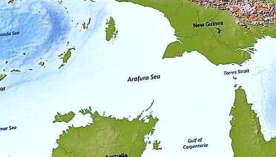 Kur ir Arafura jūra? Apraksts, funkcijas