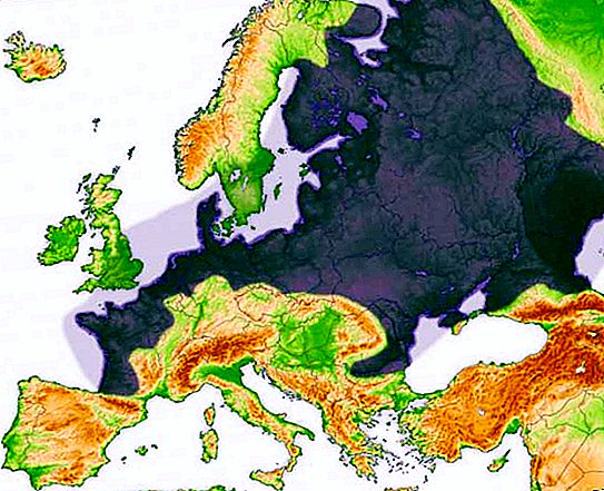 ロシアの平原の生態学的問題。 ロシア平原の資源の合理的な使用の問題