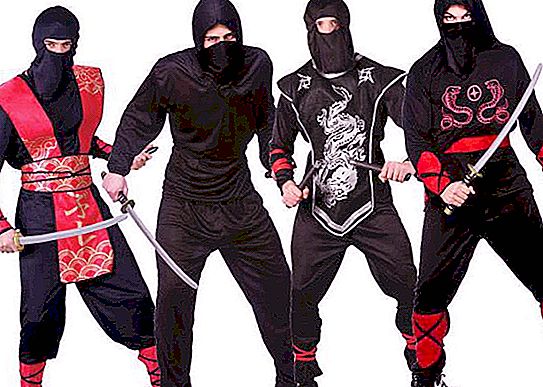 Siapa ninja itu? Ninja seni bela diri