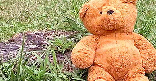 Una mujer compró un viejo oso de peluche a la venta: cuando escuchó su "voz", se dio cuenta de que él no podía pertenecerle.