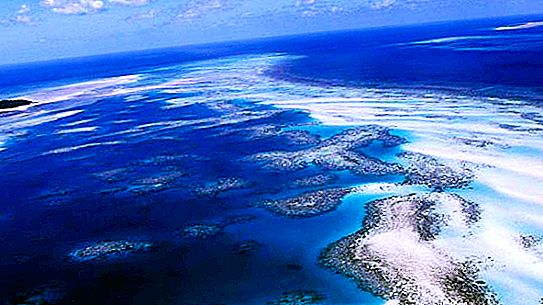الموارد البيولوجية لبحر بارنتس: الخصائص والسمات والوصف