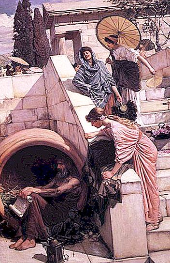 Diogenes Barrel: Ακριβώς μια έκφραση ή τρόπος ζωής