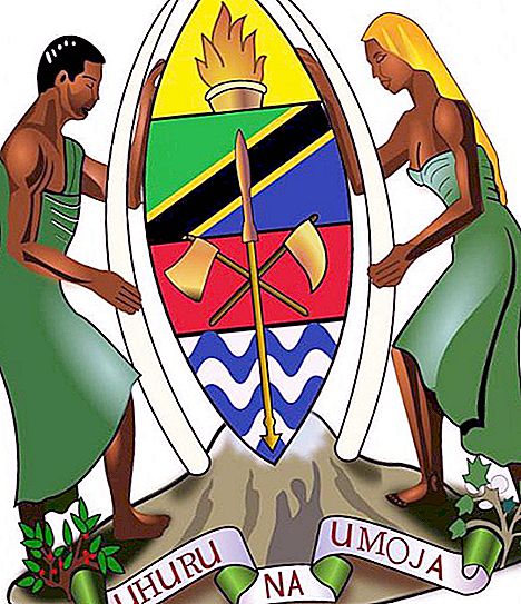 Wappen und Flagge Tansanias: Beschreibung und Bedeutung der Staatssymbole