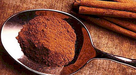 How does cinnamon grow in nature?