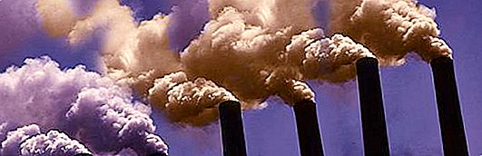 오염으로부터 공기를 보호하는 방법? 환경 권장 사항