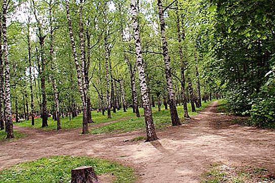 Парк Пушкин в Нижни Новгород: история и съвремие