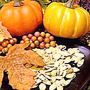Pumpkin seeds. For men - just a necessary food