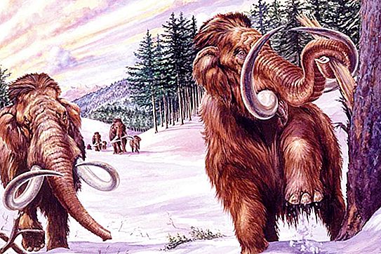 Científicos japoneses han dado un "paso significativo" para el regreso a la vida de un mamut lanudo