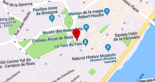 Bloisa pils: vēsture, apraksts ar fotogrāfiju, dibināšanas datums, interesanti fakti un karaliskie noslēpumi