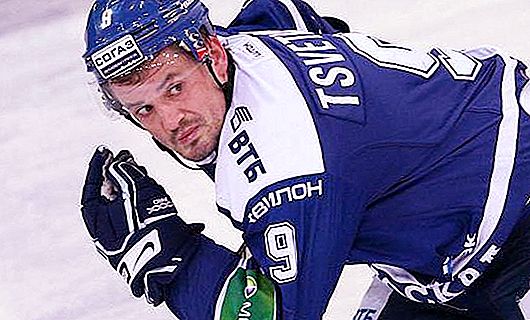 Alexey Tsvetkov: priser for karriere og hockeyspiller