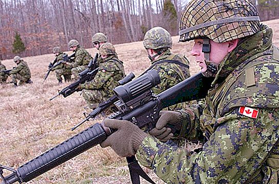 Força de l’exèrcit canadenc: armes, bases
