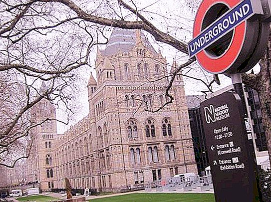 לונדון, מוזיאון להיסטוריה של הטבע - היסטוריה של חיים על כדור הארץ