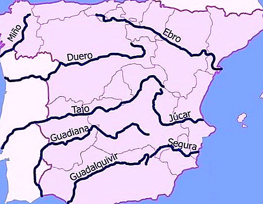 The largest rivers of Spain: Tagus, Ebro and Guadalquivir