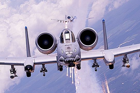 飞机“ Warthog”：描述，规格，战斗力，攻击机的分类和使用