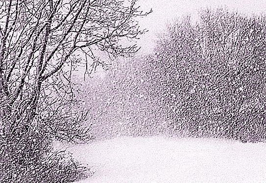 Snön är inte riktigt vit! Några intressanta fakta om snö före vintern
