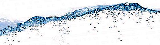 Overflatevann: hav, innsjøer, elver, myr. Verdien av vann i naturen og menneskelivet