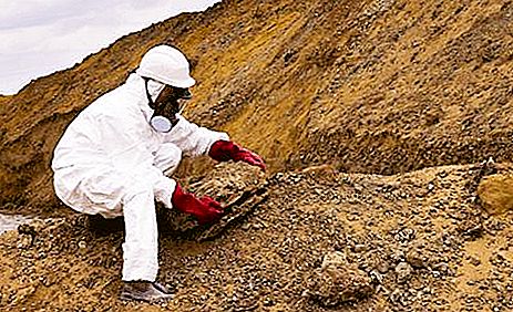Radioactive soil contamination and its consequences