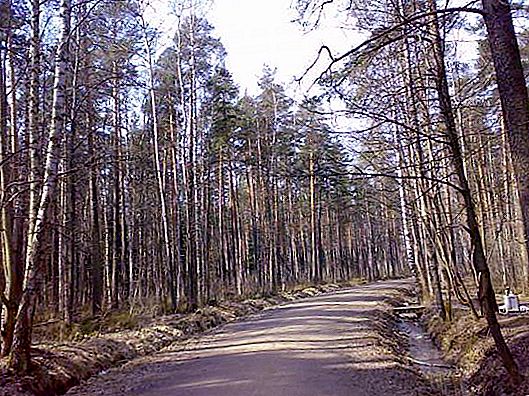 منتزه غابة رشيفسكي. منتزه غابة رشيفسكي في حي فسيفولوجسك (سانت بطرسبرغ): استعراض