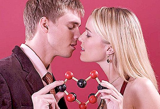 ما هو الحب علميا؟