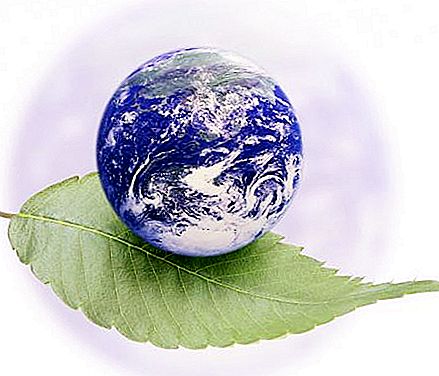 הגורם הסביבתי הוא אקולוגיה ואדם. סוגי גורמים סביבתיים. סיווג גורמים סביבתיים