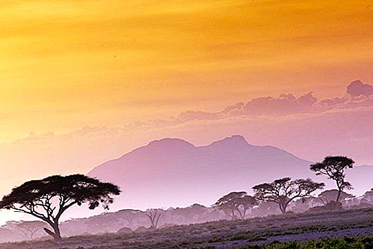 マサイマラ国立公園-ケニアで最も有名な保護区。 特徴マサイマラ