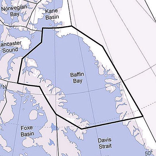 Objev Williama Baffina - moře arktické pánve mytí západního pobřeží Grónska