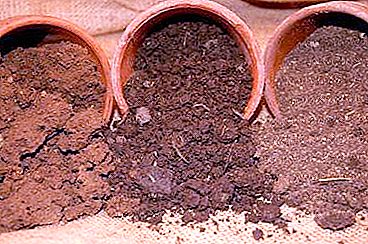 덩어리 토양 : 특성, 장점, 단점, 식물