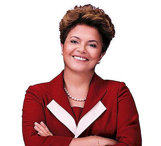 Dilma Rousseff politikus: életrajz és érdekes tények az életből