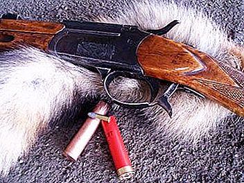 "Squirrel" (gun): description, specifications, caliber