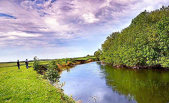 피아 나 강, 니즈니 노브 고로드 지역 : 설명, 환경 조건, 사진
