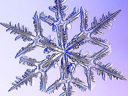 Wat zijn sneeuwvlokken? Hoe zijn ze gevormd en waar zijn ze van gemaakt?
