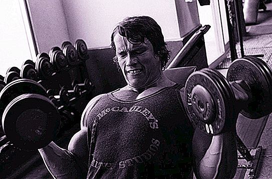 Citas motivacionales de Arnold Schwarzenegger - Lista y comentarios