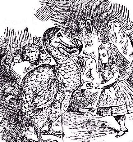Dodo Bird: una historia de exterminio