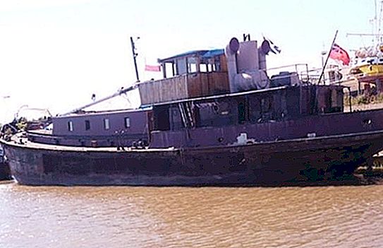 那个女人想住在水上，给自己买了一条生锈的老船。 不仅水手们都能羡慕她做过的房子，（照片）