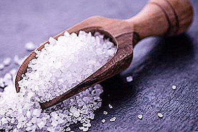 Die Bedeutung der Ausdrucksweise "essen ein Pfund Salz" und die Geschichte des Auftretens