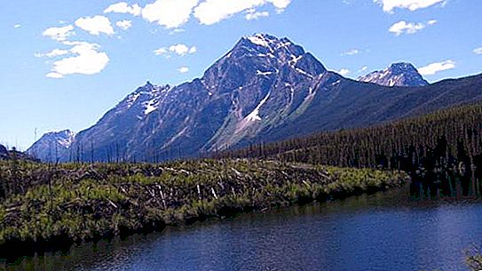Lago de Athabasca: descripción, flora y fauna, problemas ambientales.
