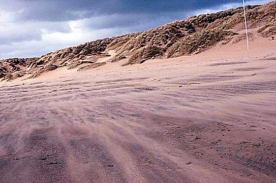 Taman Alam Tsimlyansk Sands - sebuah pulau dengan keunikan alam di perbatasan dua wilayah