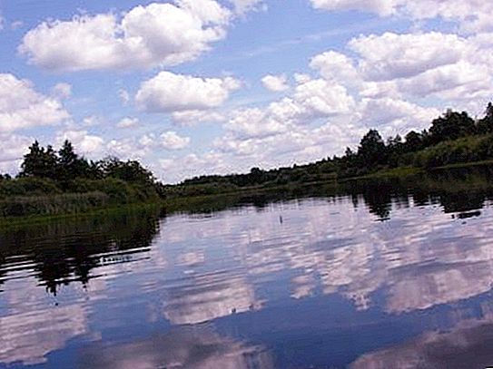 Reke Brjanske regije: opis, imena in fotografije