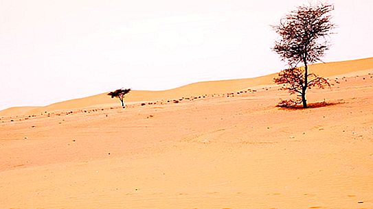 La Grande Muraille Verte a été érigée en Afrique: cela est fait pour empêcher l'expansion du désert du Sahara