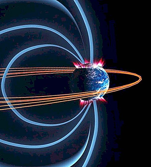Wissen Sie, wo sich die Magnetpole der Erde befinden?
