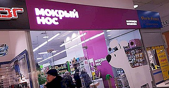 Magazin de animale de companie din Novosibirsk "Nasul umed": adrese, ore de deschidere, recenzii
