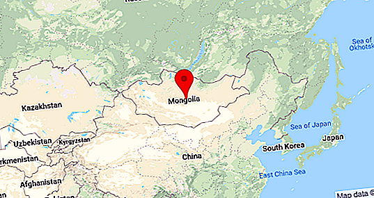 Mongolsk stat: beskrivelse, historie og interessante fakta