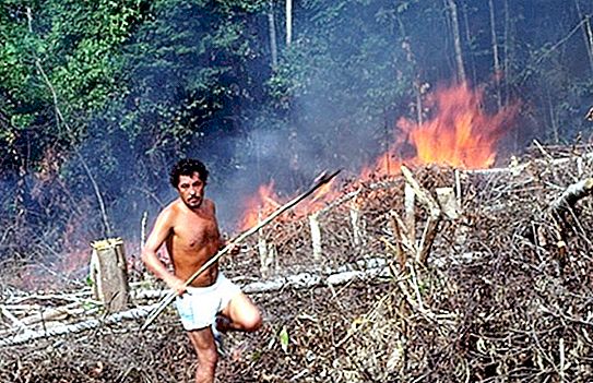 Înțepat în epoca de piatră: un om sălbatic care trăiește în inima Amazonului a intrat în lentilă (video)