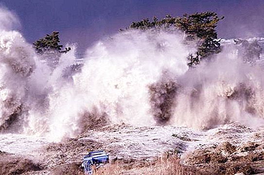 Cunamis Japonijoje: priežastys, padariniai, aukos