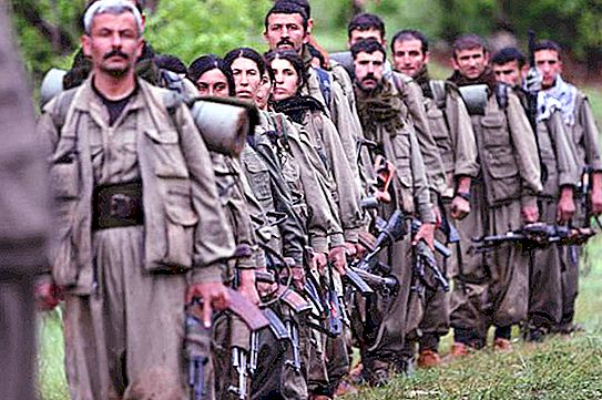 Kurdistan Workers Party: Historie og mål