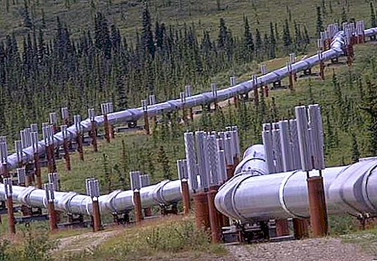 Transport par pipeline en Russie, ses caractéristiques et ses perspectives de développement