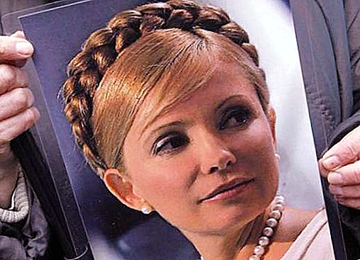 Yulia Tymoshenko. Perché hanno piantato e come hanno liberato la "principessa dei gas"