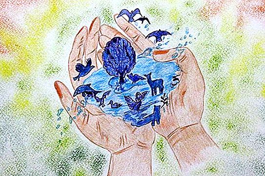 Cuộc thi vẽ tranh thiếu nhi "Những giọt nước đầy màu sắc": đề cử, điều kiện, giải thưởng